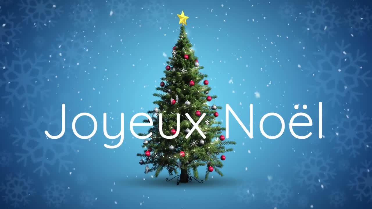 Joyeux No&Atilde;&laquo;l written over Christmas tree