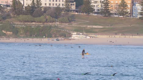 Person-Auf-Sup-In-Der-Ozeanbucht-Von-North-Bondi-Beach-In-Sydney,-Australien