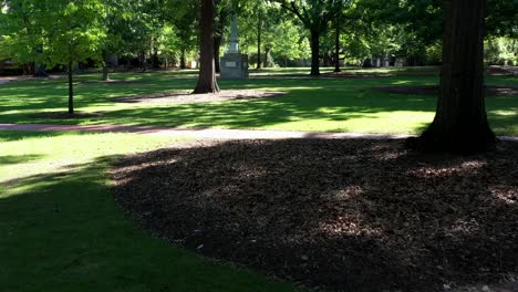 gliding through a park under shady trees