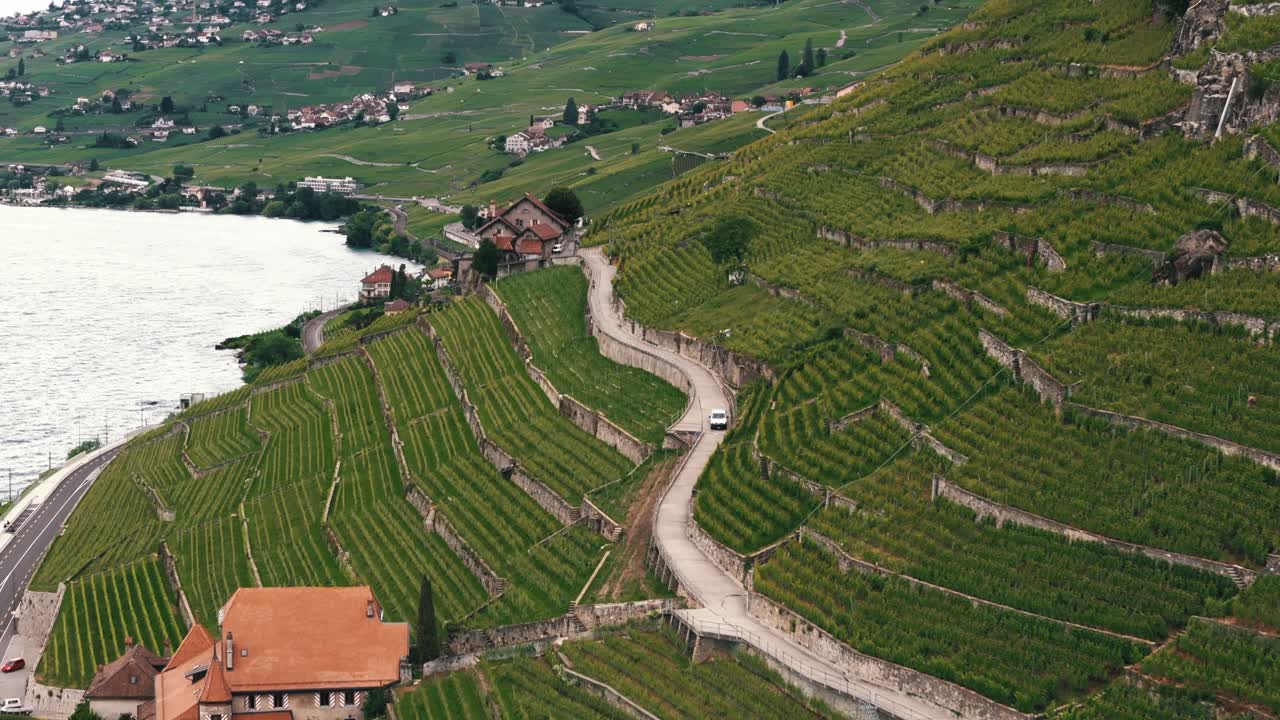 Ripresa aerea in dolly di vigneti lungo le pendici del Lago di Ginevra a Losanna, Svizzera.