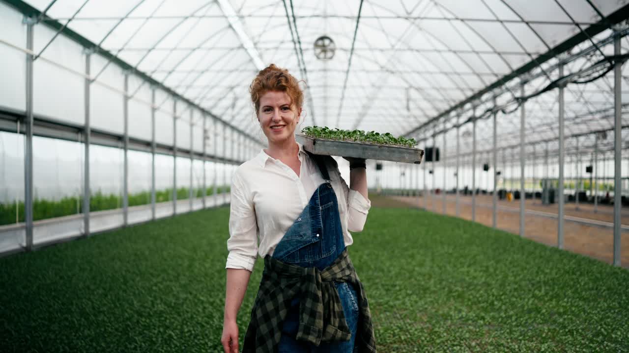 Portrait of a happy woman with curly hair as a farmer carrying seedlings in her hands and posing among the greenhouse and plants on the farm