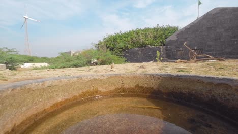 bird drinking in water tank