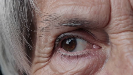close-up of an elderly person's eye with visible wrinkles