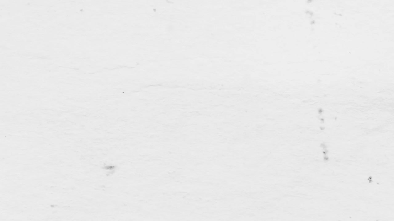 Vintage Film Grain Dust and Scratches Overlay on White Background