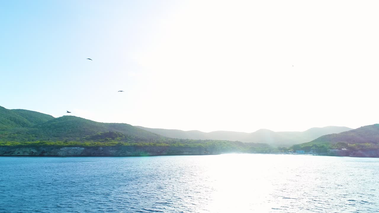 Brown booby, frigate bird, and seagulls chase each other across Caribbean ocean and coastline of Curacao