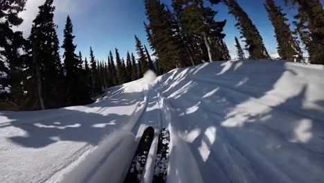 skiing through snowy mountain landscape