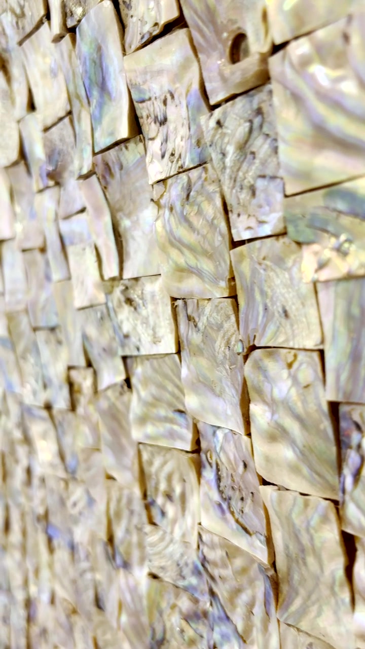 Verticale. Pezzi di madreperla lucidi da conchiglie di abalone in un motivo astratto, primo piano.