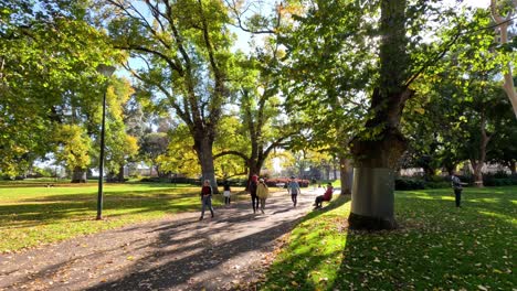 individuals strolling through a sunny park