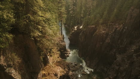 Aerial-view-of-water-stream-surrounded-by-green-forest