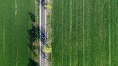 Aerial-view-road-filmed-from-above-with-shadow-from-the-trees-on-the-farmland