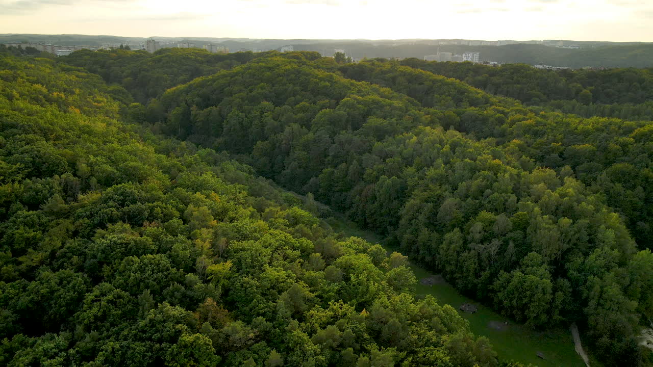 toma aérea inclinada hacia arriba sobre los bosques verdes de la selva y la pradera del parque al aire libre
