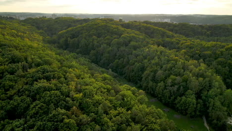 aerial tilt up shot over green jungle forests and outdoor park meadow