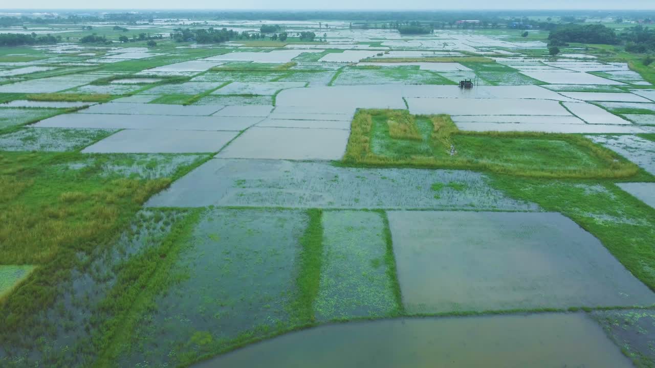 The surrounding area was flooded due to heavy rain