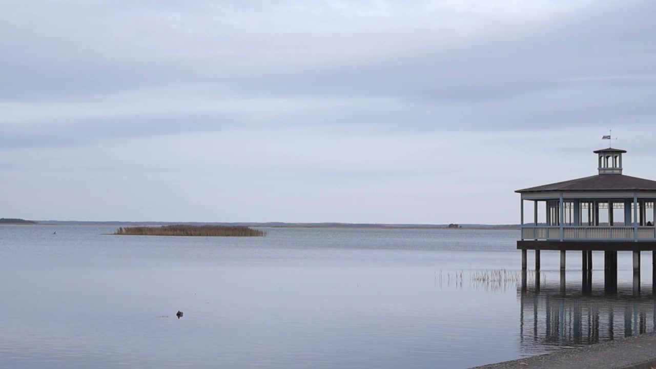 Panorerende opptak av en vakker trepaviljong over vannet ved promenaden i Haapsalu, Estland. Utsikt fra promenadens fortau over det rolige havet med en ensom sittende and på en skyet dag, Østersjøkysten