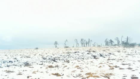 Los-árboles-Muertos-Se-Sientan-En-Una-Colina-Congelada-Mientras-Las-Nubes-Pasan-Durante-Un-Lapso-De-Tiempo