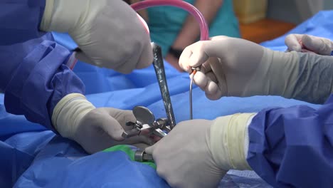 spine surgery explained: common procedures, recovery expectations, risks, and advances in minimally invasive techniques for treating chronic back pain and spinal disorders"