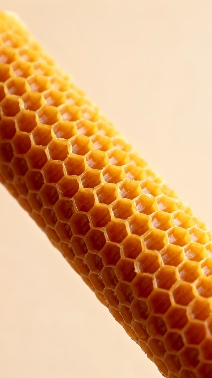 Vertical video: Rotating beeswax cylinder after subtle camera shift in studio, showcasing honeycomb