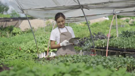 smart farm concept and farm technology a smart asian girl uses a tablet to check the quality and quantity of the organic vegetable garden at the garden houses.