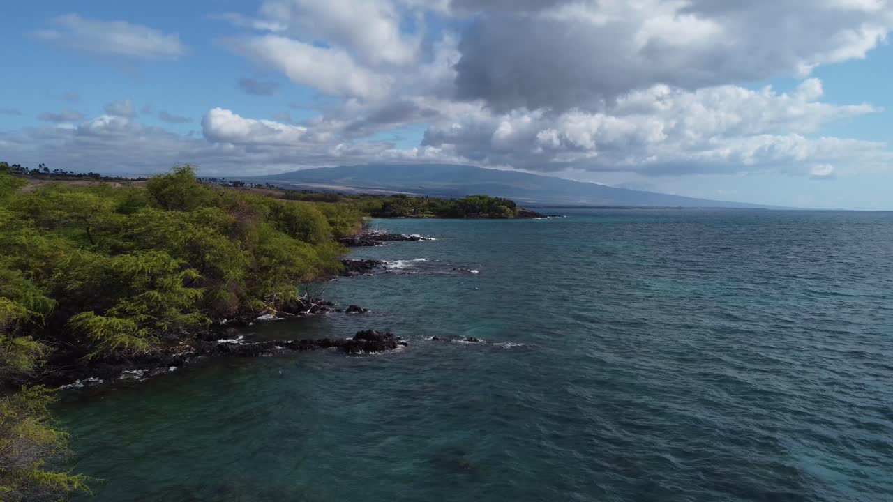 Ripresa drone cinematica con zoom 4K, a ridosso degli alberi, sulla costa ricoperta di rocce laviche vicino a Kona, sull'Isola Grande delle Hawaii.