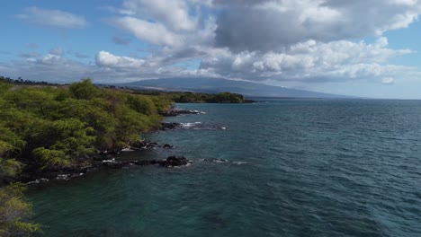 4k cinematic zoom drone shot right next to trees on the lava-rock riddled coast near kona on the big island of hawaii