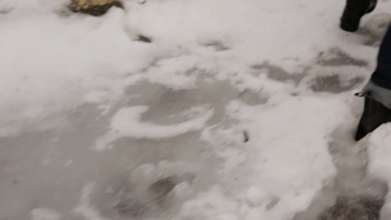 사람의 발과 개의 발이 눈 속을 걷는다