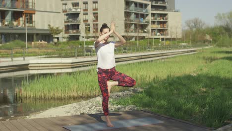 Fit-young-brunette-training-yoga-pose-outside