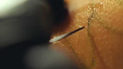 macro shot of tattoo artist inserting ink into skin with needle