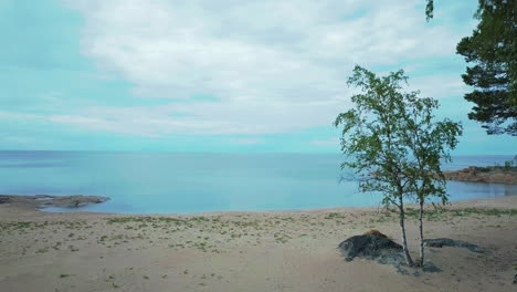 Playa-De-Arena-Vacía-Natural-Y-Agua-Que-Se-Encuentra-Con-El-Cielo-Junto-Al-Abedul,-Levantamiento-Aéreo