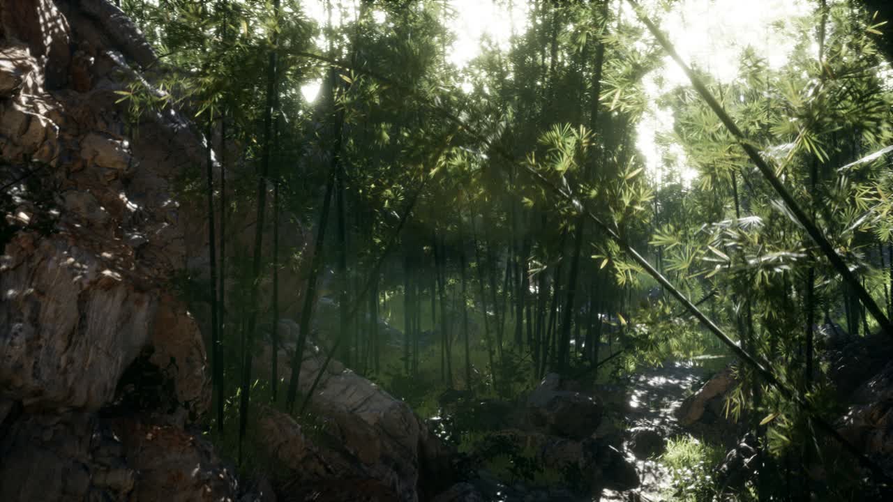 돌이 있는 연못의 연안 근처에 있는 울창한 초록색 대나무 잎.