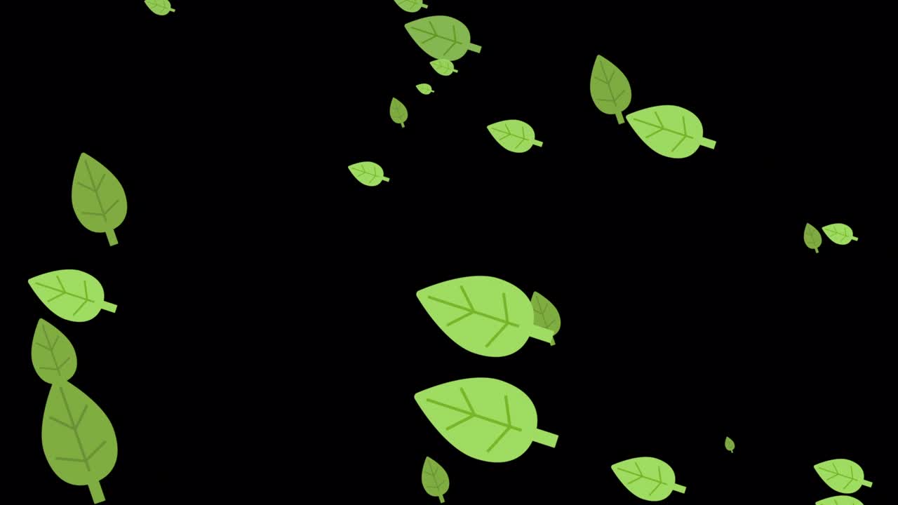 간단하고 귀여운 잎 입자 검은 배경
