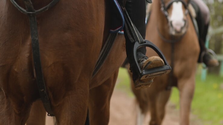 Two People Riding Brown Horses 1
