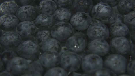 blueberries floating to the surface of water, refreshing shot of blueberry fruit, macro