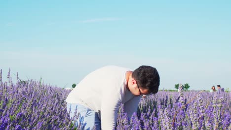 trabajador de campo con anteojos cosechando hermosas flores de lavanda en un día soleado