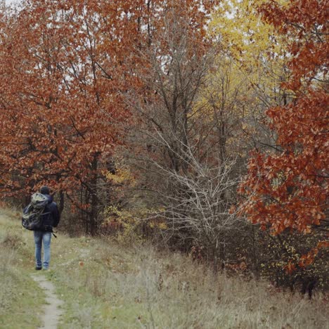 male tourist in the forest