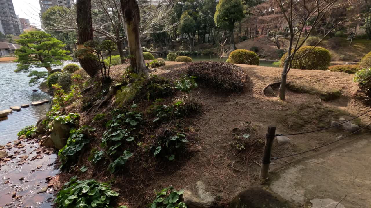 un paseo sereno por un jardín japonés
