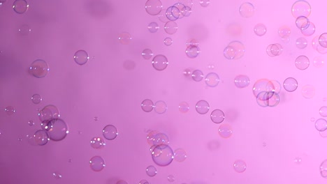blue and clear soap bubbles on pink background a lot of blue and clear soap bubbles isolated on pink background