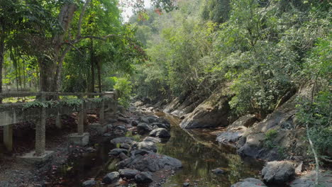 Río-En-La-Selva---Un-Oasis-De-Serenidad