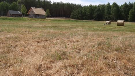 Stork-walking-on-the-meadow-on-a-beutiful-summer-day