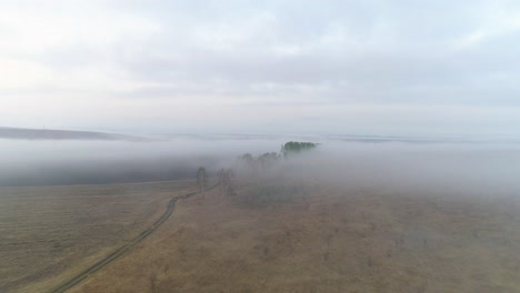 aerial view of foggy field with trees