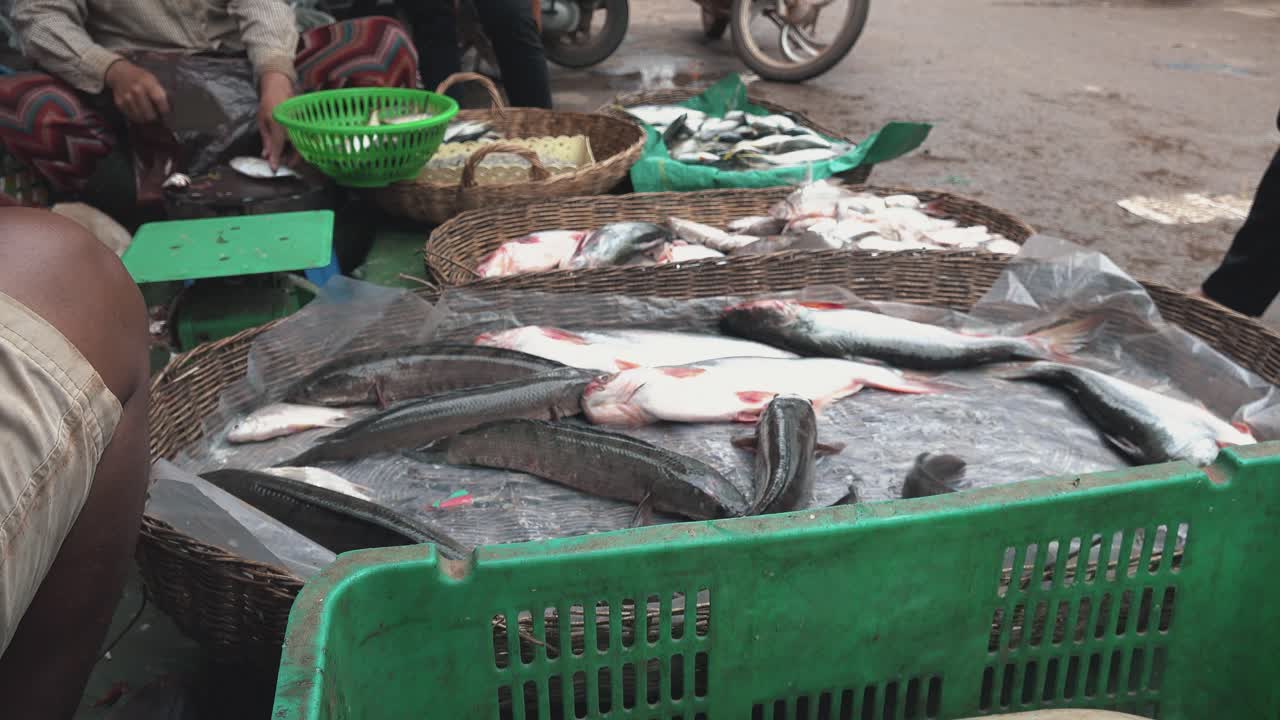 pescado vivo a la venta en el mercado