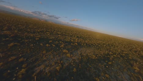 -Toma-FPV-Volando-Sobre-Arbustos-Y-Cactus-Del-Desierto-En-Florencia,-Arizona,-Con-La-Puesta-De-Sol-De-La-Hora-Dorada-En-El-Horizonte.