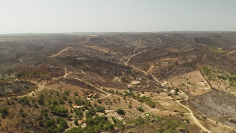 panorama of a burnt woodland after bush wild fire on forest mountains of portugal