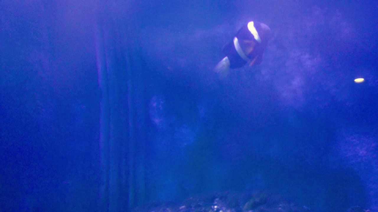 la mejor vista del pequeño liuqiu