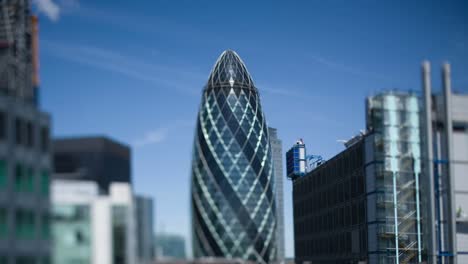 gherkin pan 01
