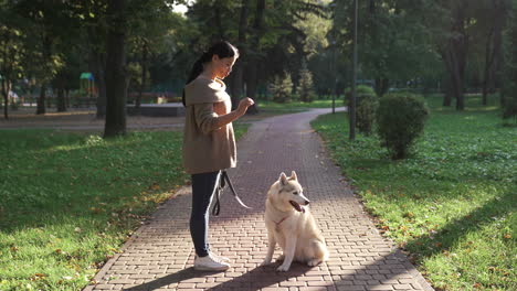 Dueña-De-Una-Mascota-Con-Su-Perro