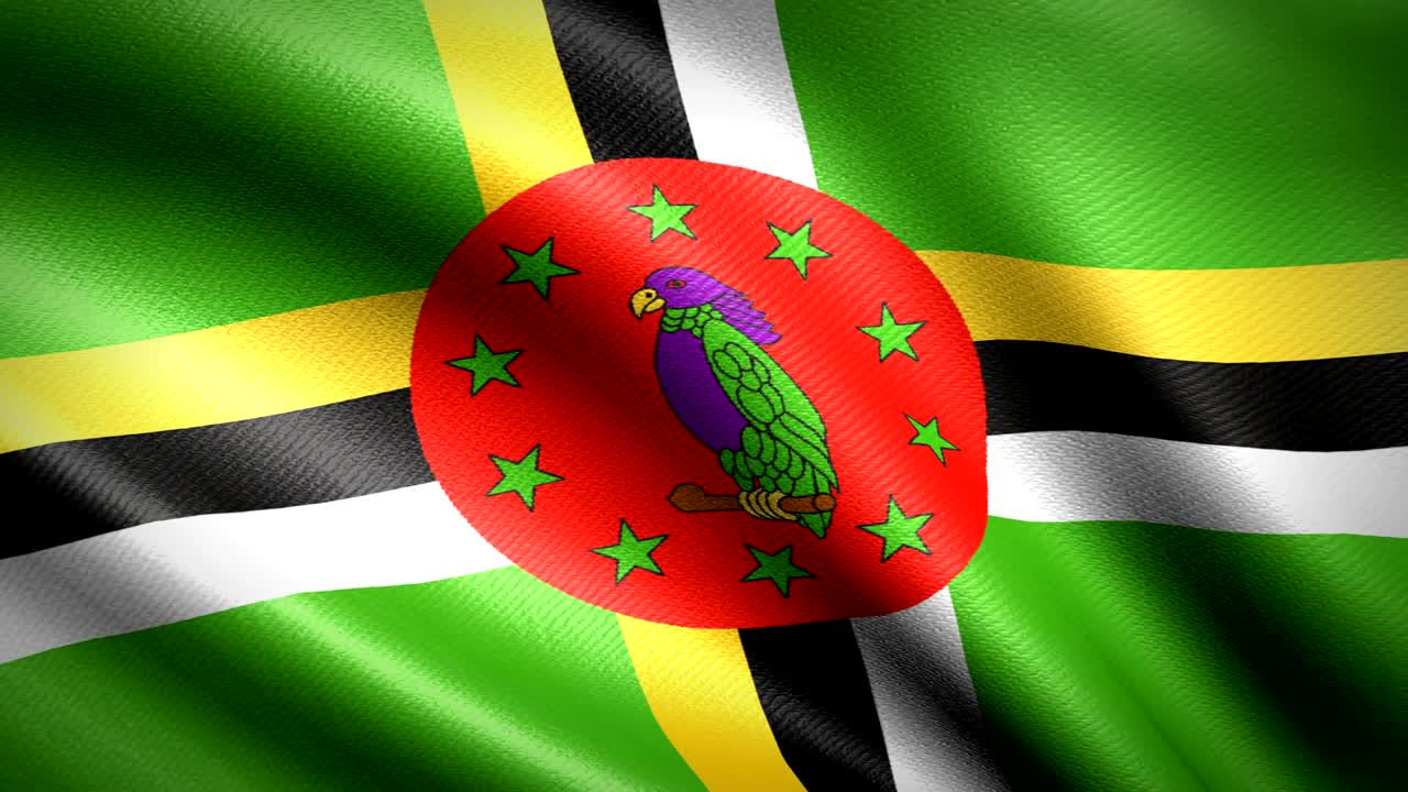 도미니카의 발, 시엄리스 루프 애니메이션, 4k 고해상도 비디오