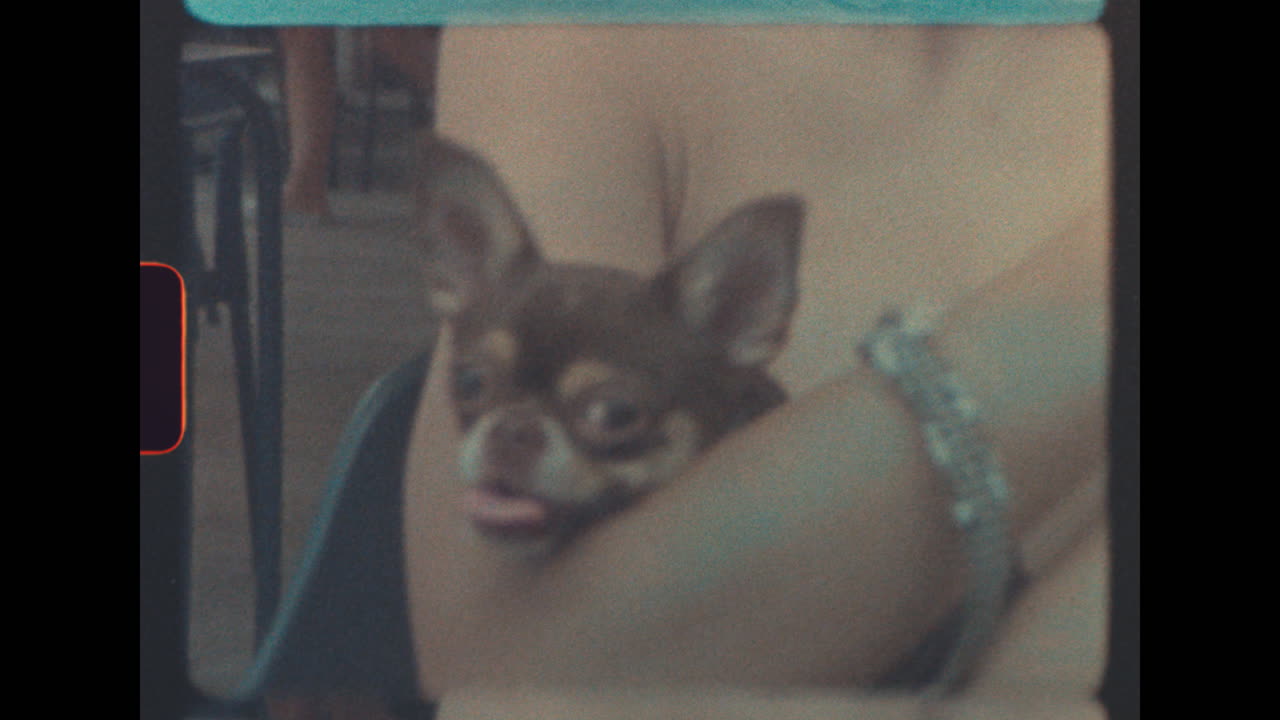 A portrait of a teenager