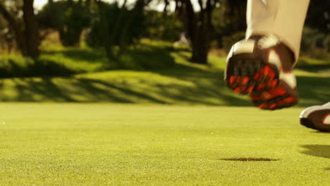 homem colocando sua bola de golfe e aplaudindo