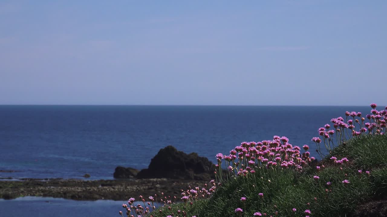 Blue horizons sea pinks and islands Copper Coast Waterford Ireland Epic Locations