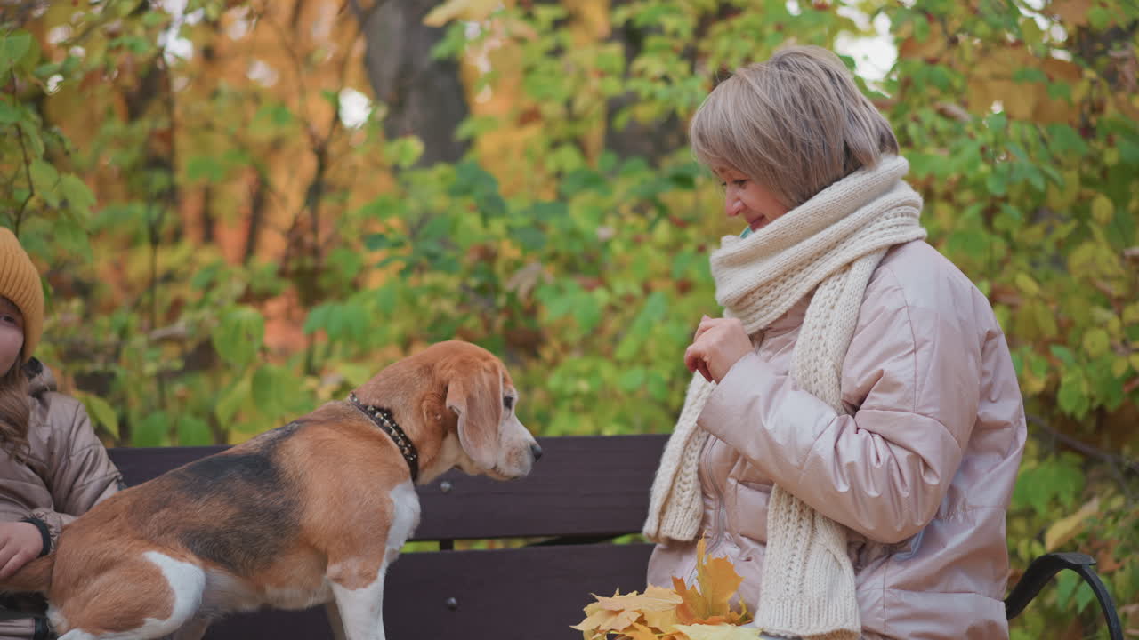 Woman in soft jacket and scarf smiles warmly at calm beagle sitting on bench, while daughter in beanie gently rubs dog tail, surrounded by vibrant autumn foliage and scattered fallen leaves